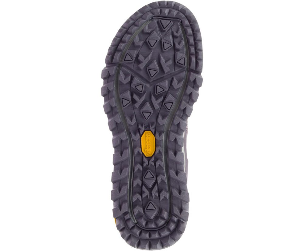 Merrell Sneakers Purple - Antora - Womens 86HRJPWMQ